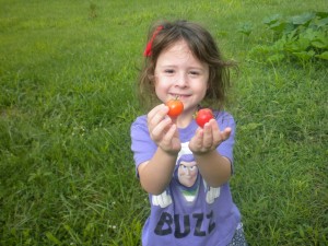 The kids LOVE cherry tomatoes!