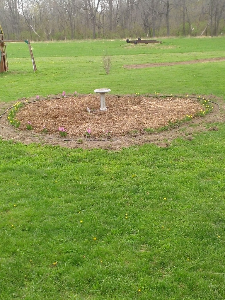 Circle o' flowers was weeded/mulched on Saturday. yeah!