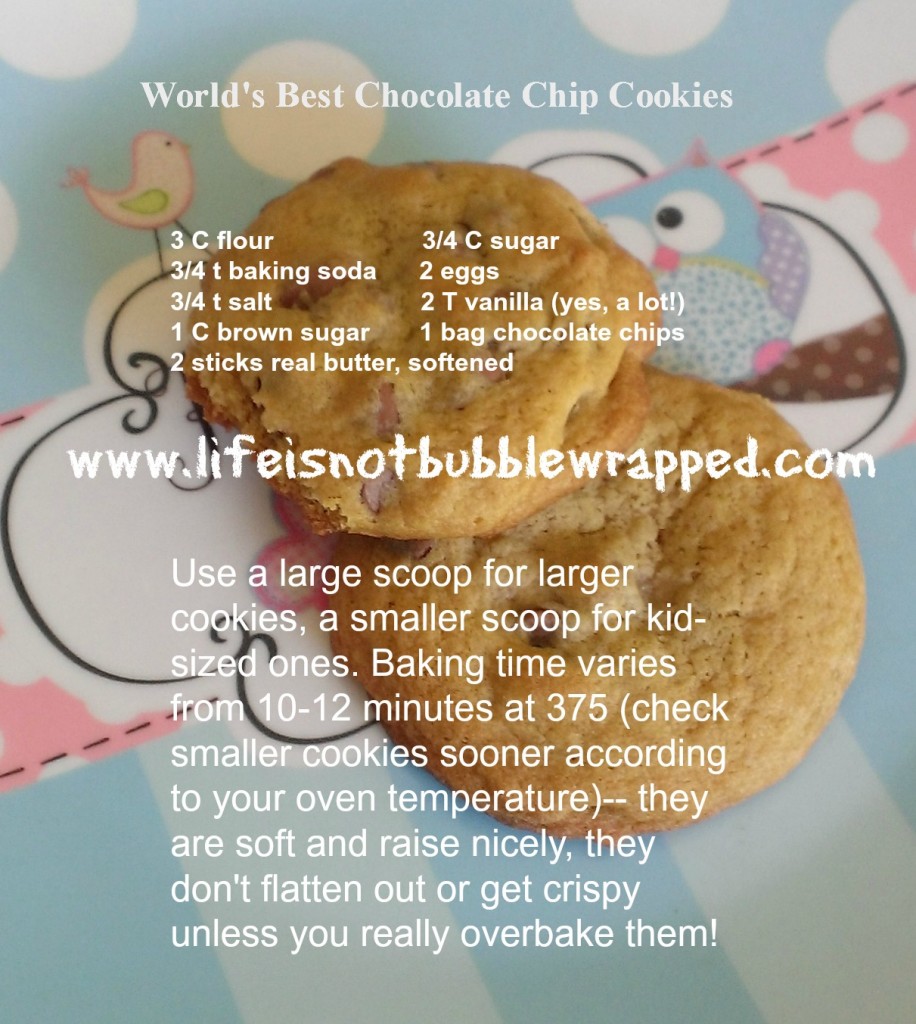 World's best chocolate chip cookies!