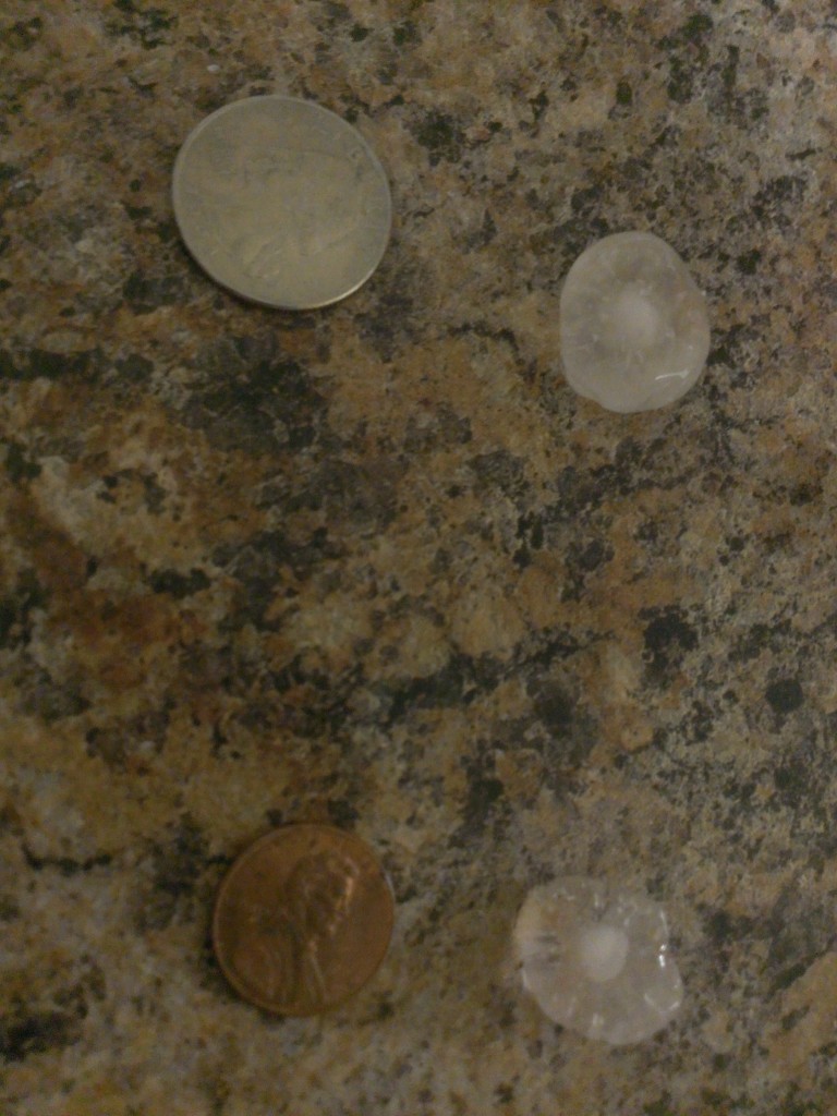 Nickel to Quarter size hail to inspect! It melted a lot before it quit hailing!