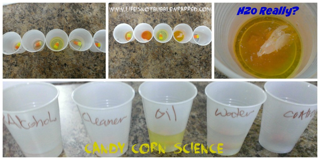 candy corn science collage 1